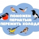 В Челябинской области продолжается акция «СИНИЧКА-74» В Челябинской области продолжается акция «СИНИЧКА-74»