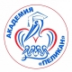 Образовательный интенсив для участников проекта «Академия «ПЕЛИКАН» Образовательный интенсив для участников проекта «Академия «ПЕЛИКАН»